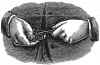1886_President_Pencil_Sharpener_Pat_Clarke_Jul_27_86_B.JPG (242818 bytes)