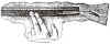 Cortis_Patent_Pencil_Sharpener_Ruler_1901_adv.jpg (129822 bytes)